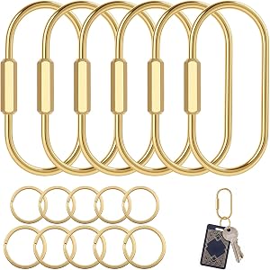 Tylorix Brass Key Rings Set, Oval Keychain Organizer with Screw Lock | 6 Packs U-shaped Carabiners, 10 Packs Flat Split Keyri