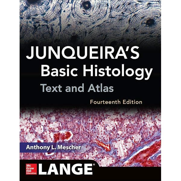 Junqueira's Basic Histology: Text and Atlas, Thirteenth Edition