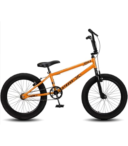 Bicicleta Infantil Criança Aro 20 BMX PRO X FreeStyle V