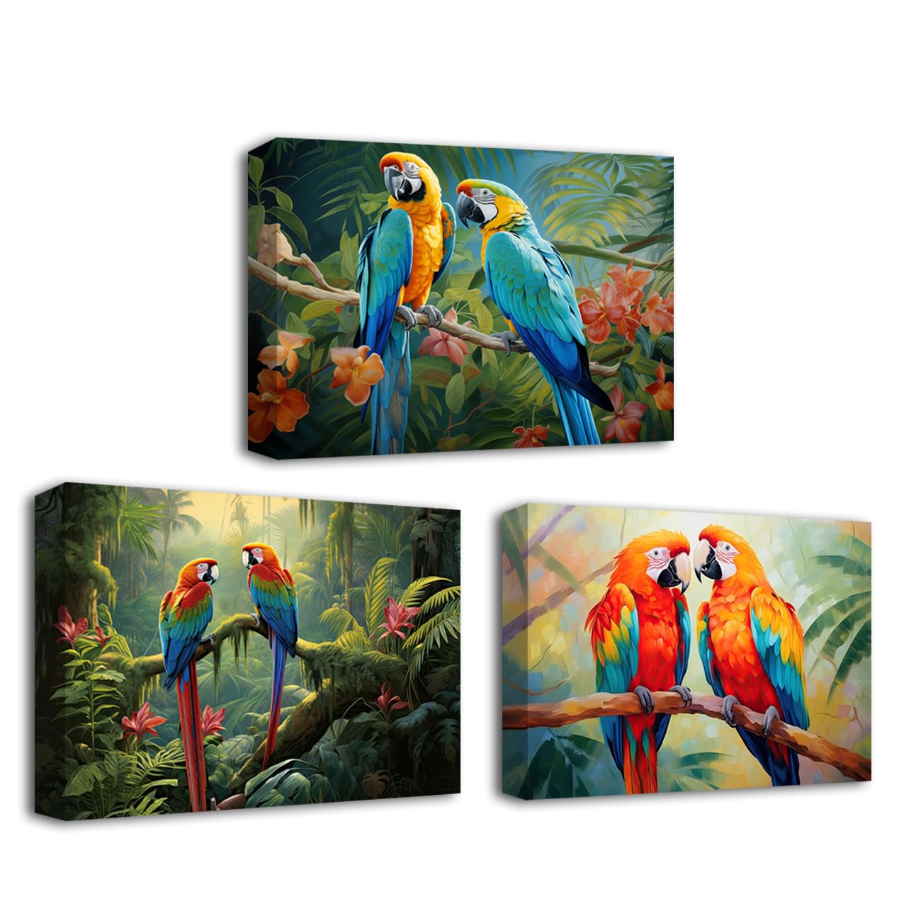 CXHOSTENT Parrot Canvas Wall Art set of 3 Parrot Couple on Branch Painting Tropical Rain Forest Animal Pictures Prints Colorful Birds Artwork Framed (Parrot-2, 28.00 x 35.00 cms x 3PCS)