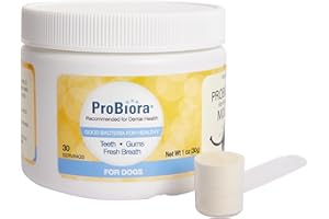 PROBIORA HEALTH Probiora for Dogs | Dog Probiotic Supplement for Oral Care | Pet Probiotics to Reduce Bad Breath | Dog Nutritional Supplement for Dental Health | 30 Servings (Jar)