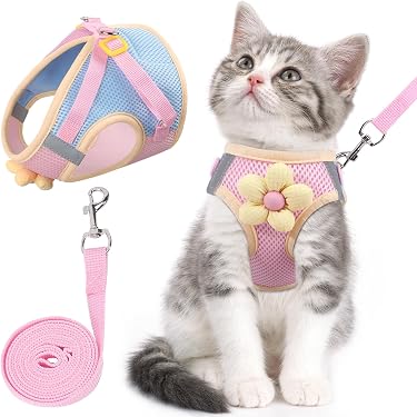 alabama dog collar and leash UNIVERSITY OF ALABAMA PINK DOG COLLAR Large main image 1