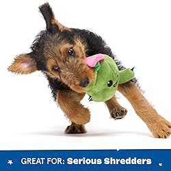 Barkbox 2 in 1 Interactive Plush Dog Toy - Rip and