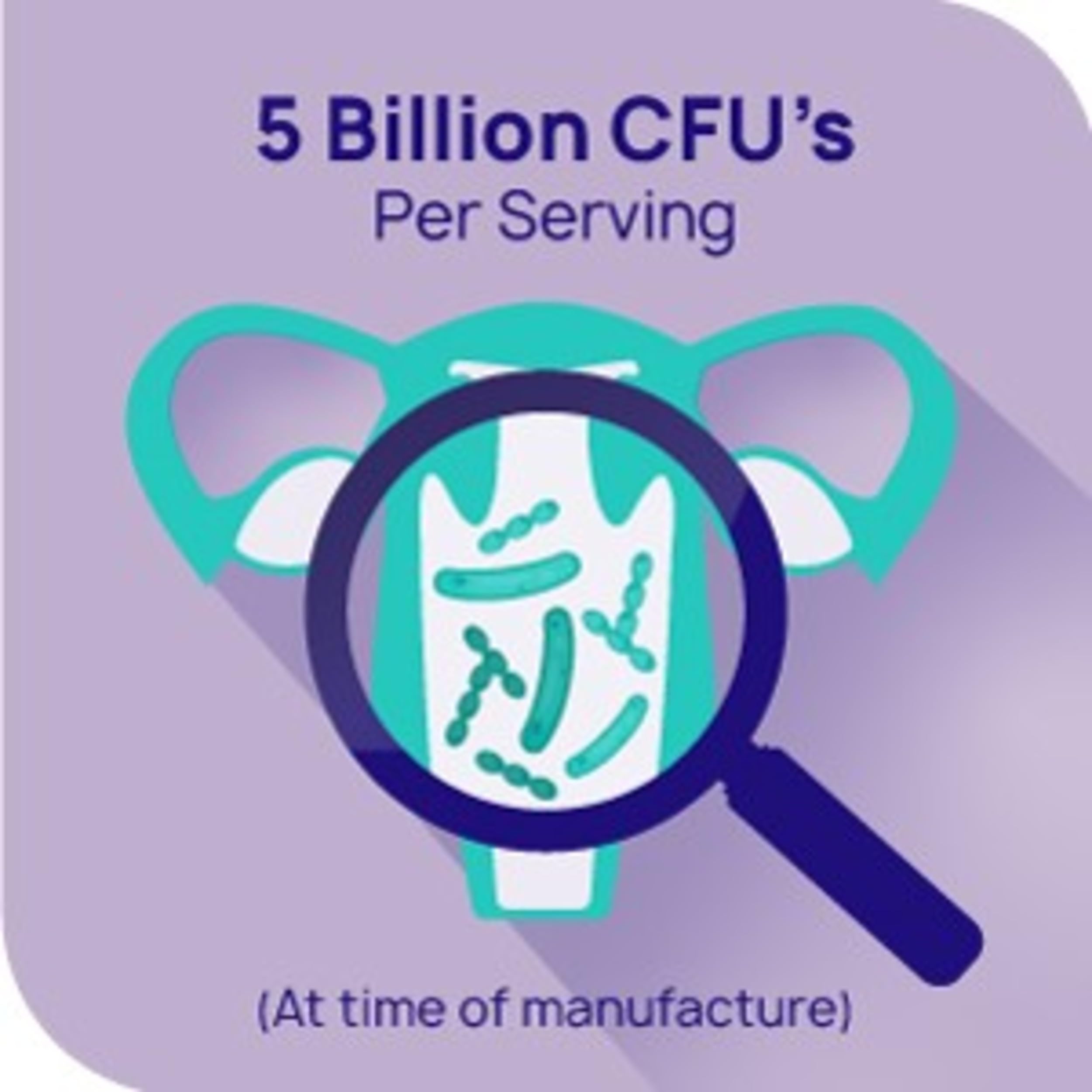 Rephresh Pro-B Women's Probiotic, Probiotic Supplement for Women, 30 Oral Capsules