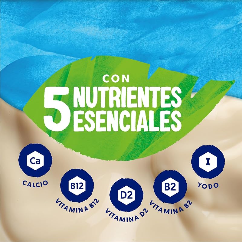 Bebida Vegetal de Soja - Pack de 6 x 1L