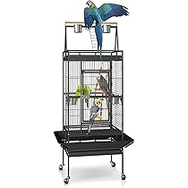 豚bird Amazon.com : SUPER DEAL 68-inch Large Bird Cage with Rolling