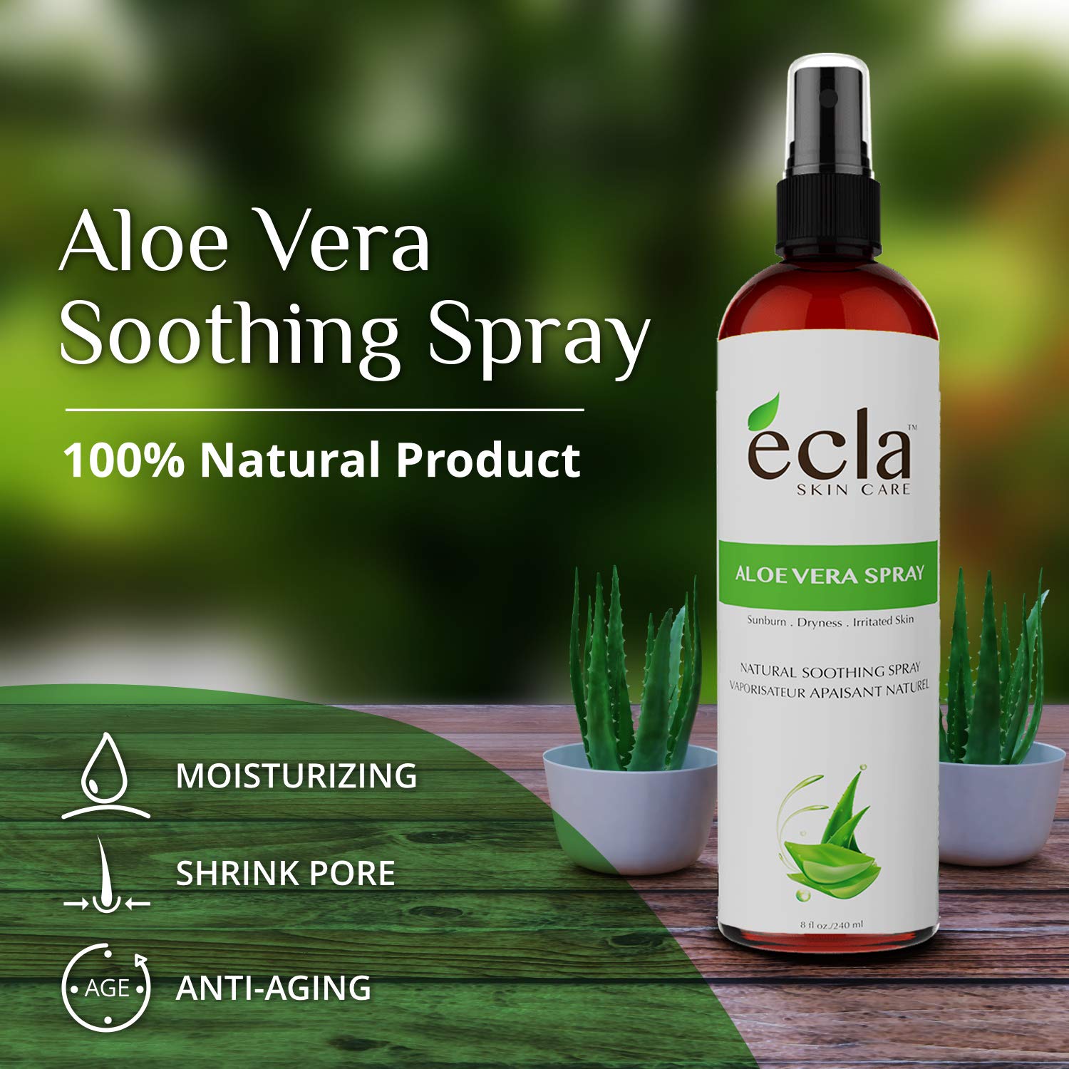 Aloe Vera Spray Mist for Face Body and Hair - Made in Canada with Organic Real Juice (Not Powder) and Seaweed 8 Oz - 240ml Natural Formula Toner to Moisturize and Rebalance Skin and Relieve Sunburns