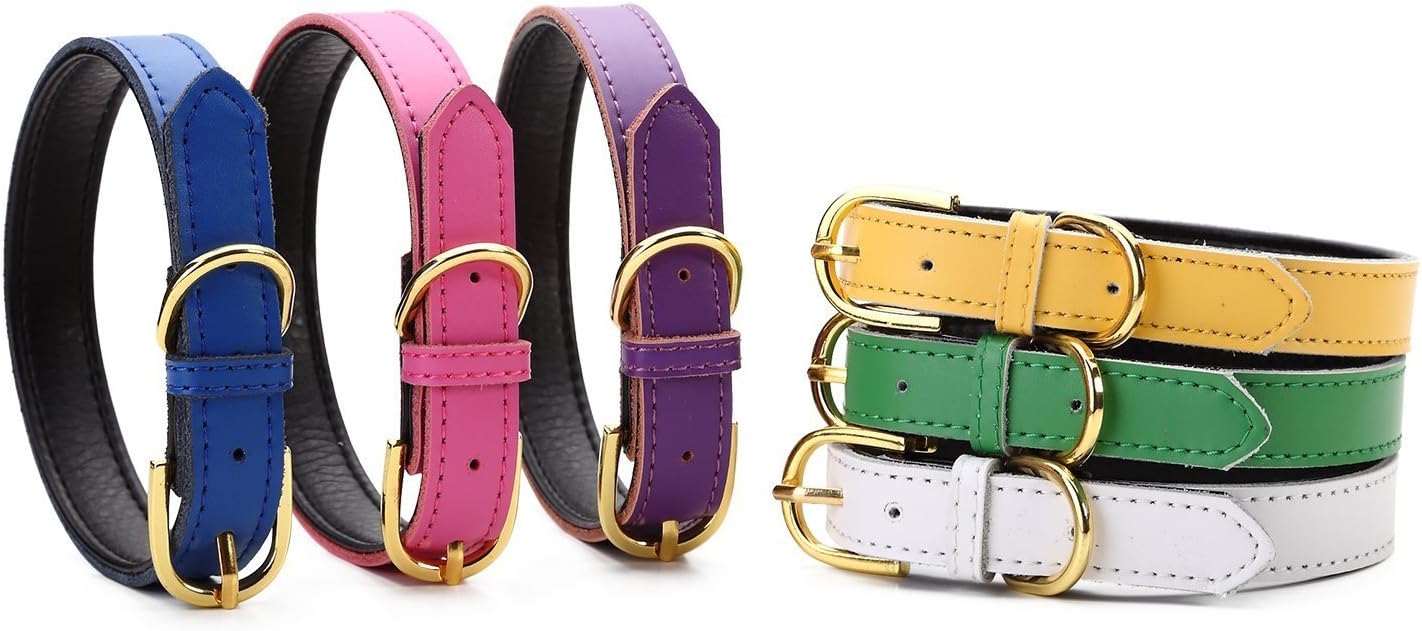 Petween Basic Classic Padded Leather Pet Collars for Cats Puppy Small Medium Dogs
