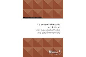 Le secteur bancaire en Afrique: De l'inclusion financière à la stabilité financière (French Edition)