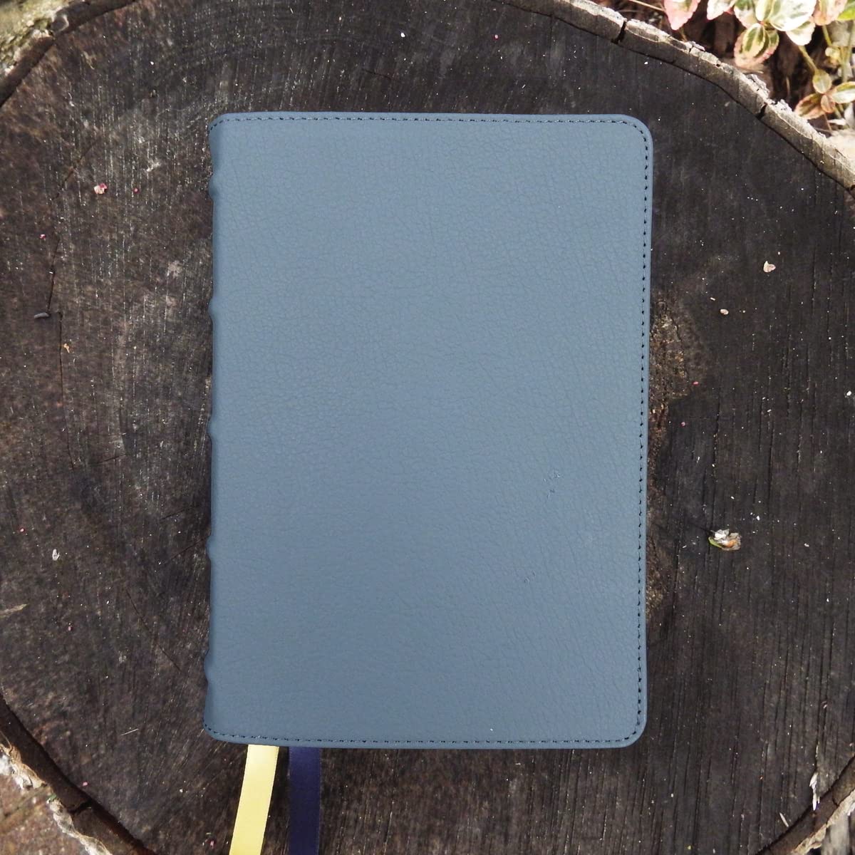 NIV, Larger Print Compact Bible, Genuine Leather, Buffalo, Blue, Red Letter, Comfort Print