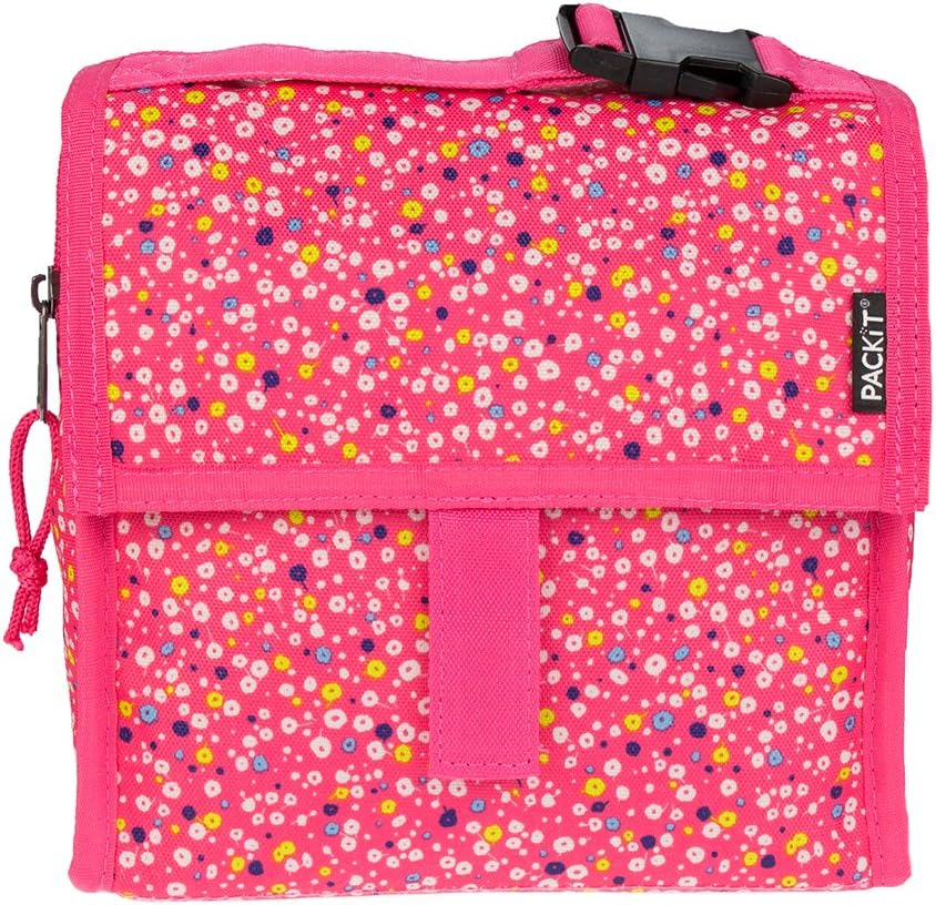 small freezable lunch bag