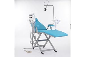 DRRSBRP 110V 5W Adjustable Foldable Dental Chair, Portable Reclining Seat Folding Examination Couch Lightweight Clinic Workbench for Oral Care School Training Nursing Tasks