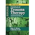 Principles of Trauma Therapy: A Guide to Symptoms, Evaluation, and Treatment ( DSM-5 Update)