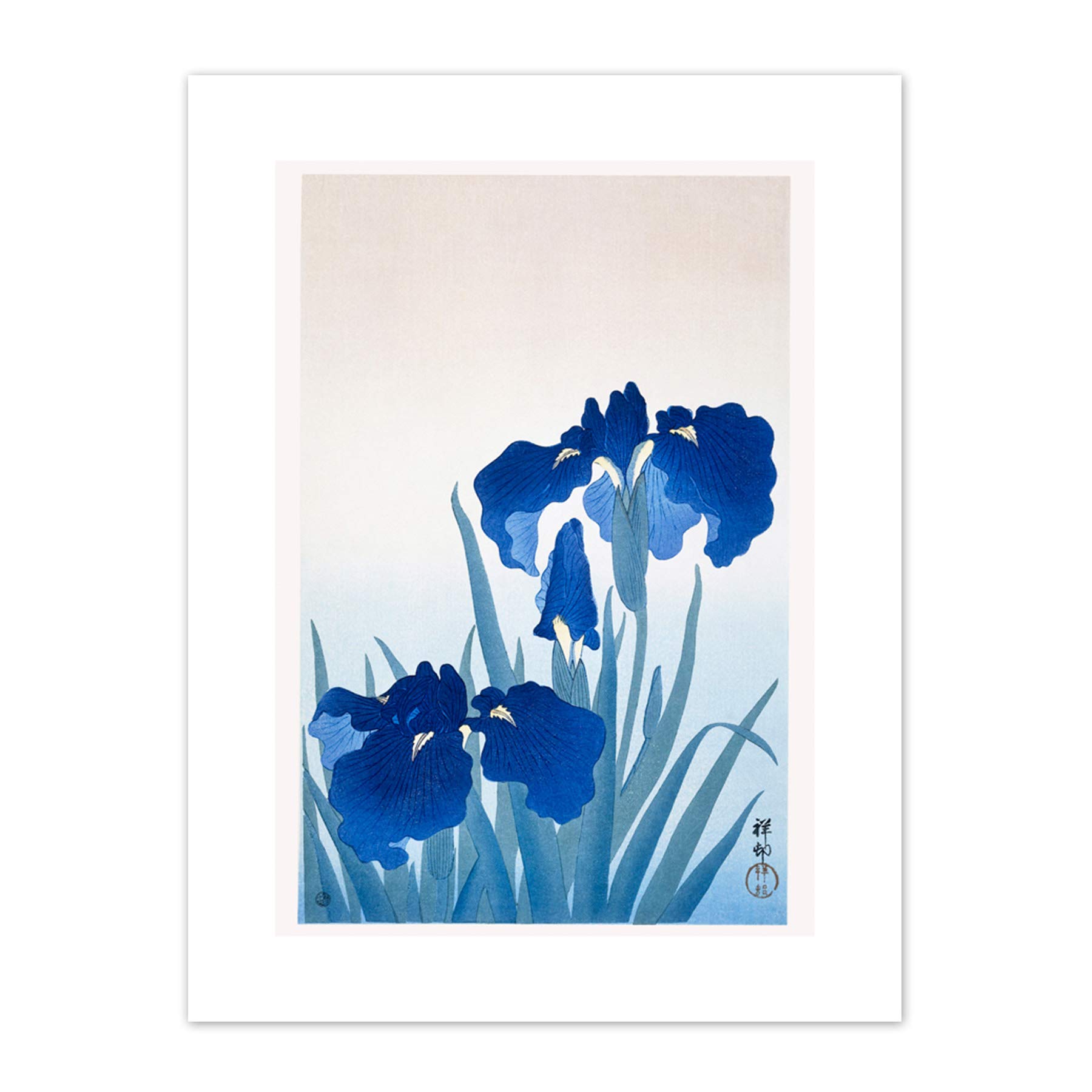 Wee Blue Coo Iris Flowers Ohara Koson Art Print Canvas Premium Wall Decor Poster