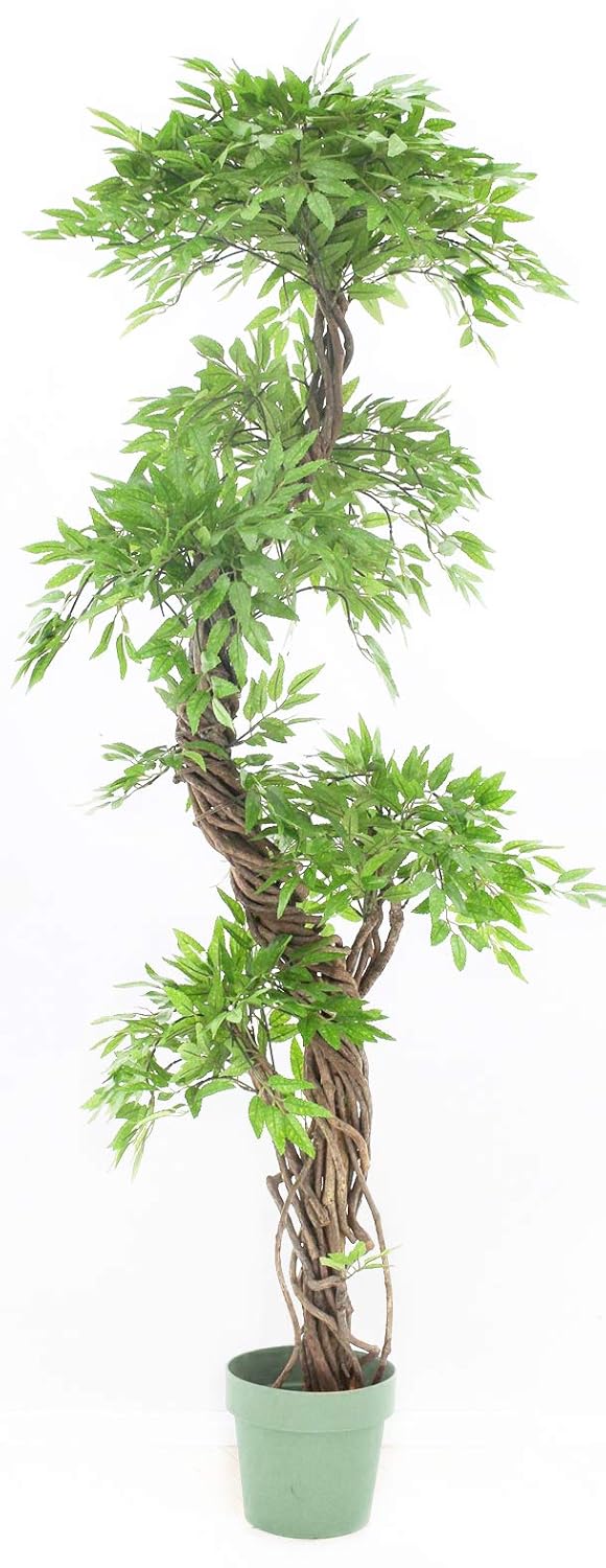 Best large silk trees for home decor Your Smart Home