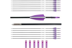 BOWSOUL 31“ Archery Arrows Training Practice Target Arrows for Kids Youth or Beginners Streamlined Points Durable Shaft on Recurve Bows Youth Bow and Longbows(Pack of 12)