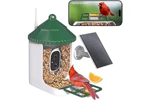 Loatos Bird Feeder with Camera AI Identify 2K Live Video Smart Bird Feeder with Camera, 2.4GHZ WiFi Solar Birds House Cameras, Motion Detection Instant Arrival Alerts, Ideal Present for Birds Lovers