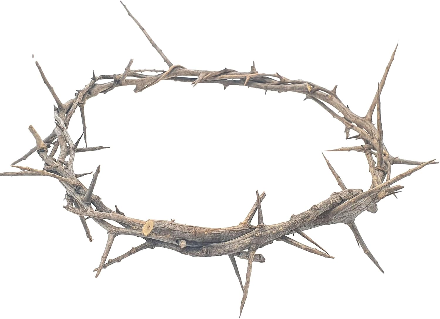 Tree Toppers - Jerusalem Authentic Biblical Lifesize Real Crown of Thorns with Box & Zuluf Certificate | Religious Easter Wreath Home Décor Tree Topper | Jesus Christ Wall Decor Christmas Christian Gifts| HLG214