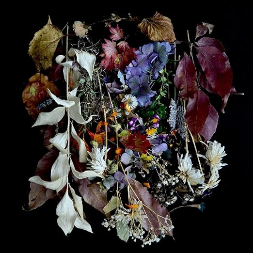 Your Church On My Bonfire