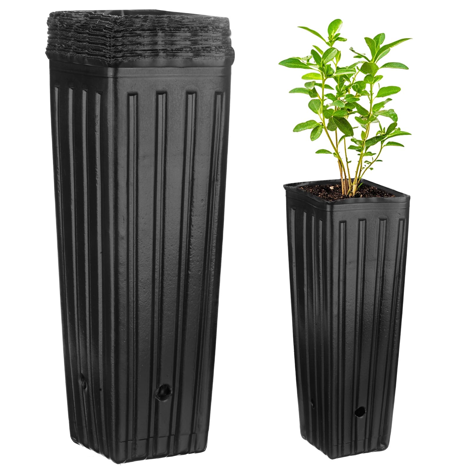 M METERXITY 50-Pack Plant Nursery Pots, 3.94x3.94x11.81 Inch Plastic Deep Growing Nursery Pots Succulent Planter Flower Tree pots with Drainage Holes for Indoor Outdoor Gardening [Black]