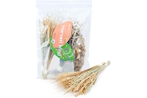 Niteangel Natural & Soft Hamster Bedding for Syrian Dwarf Hamsters Gerbils Mice Degus Bunny or Other Small-Sized Pet (Harvest