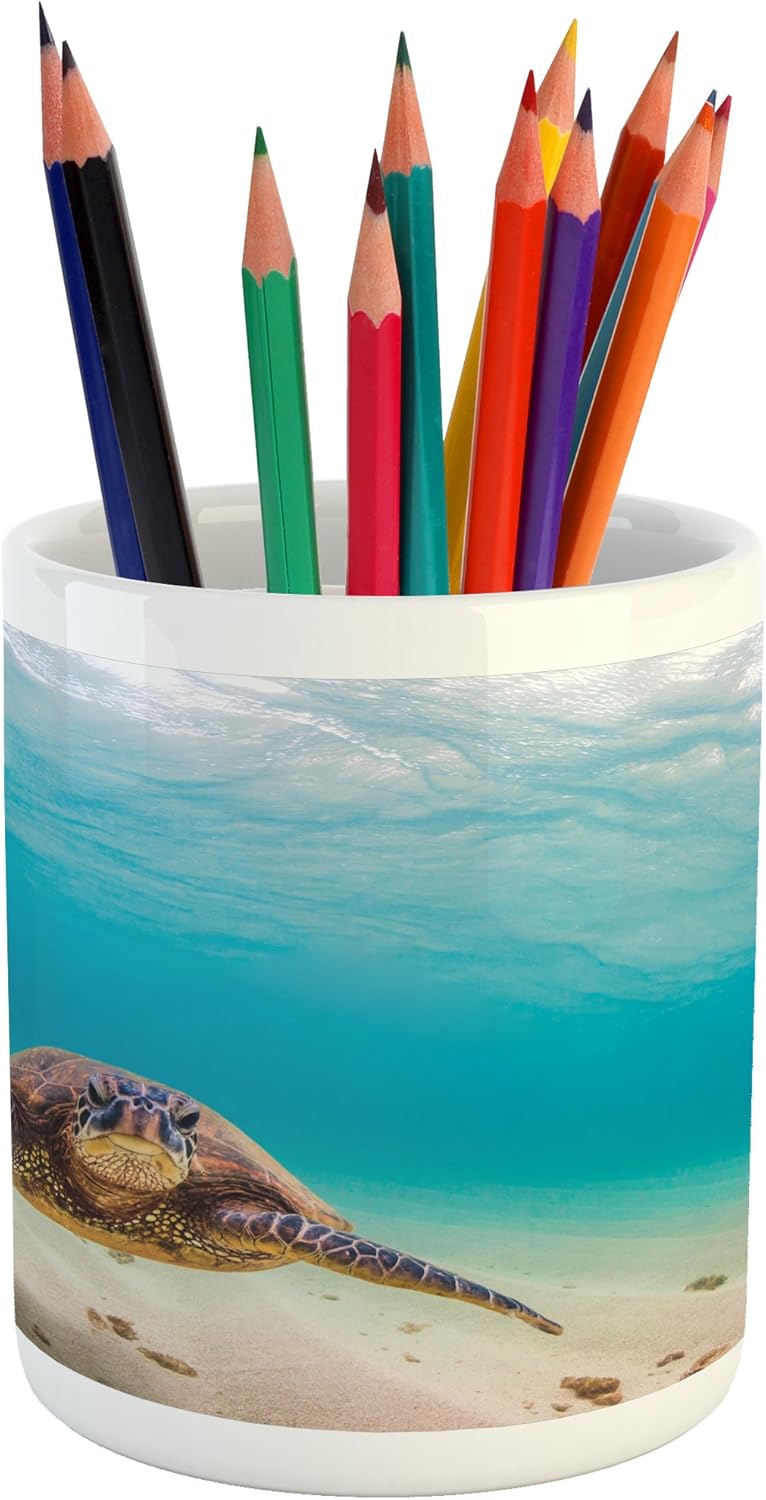 Best sea turtle desk accessories