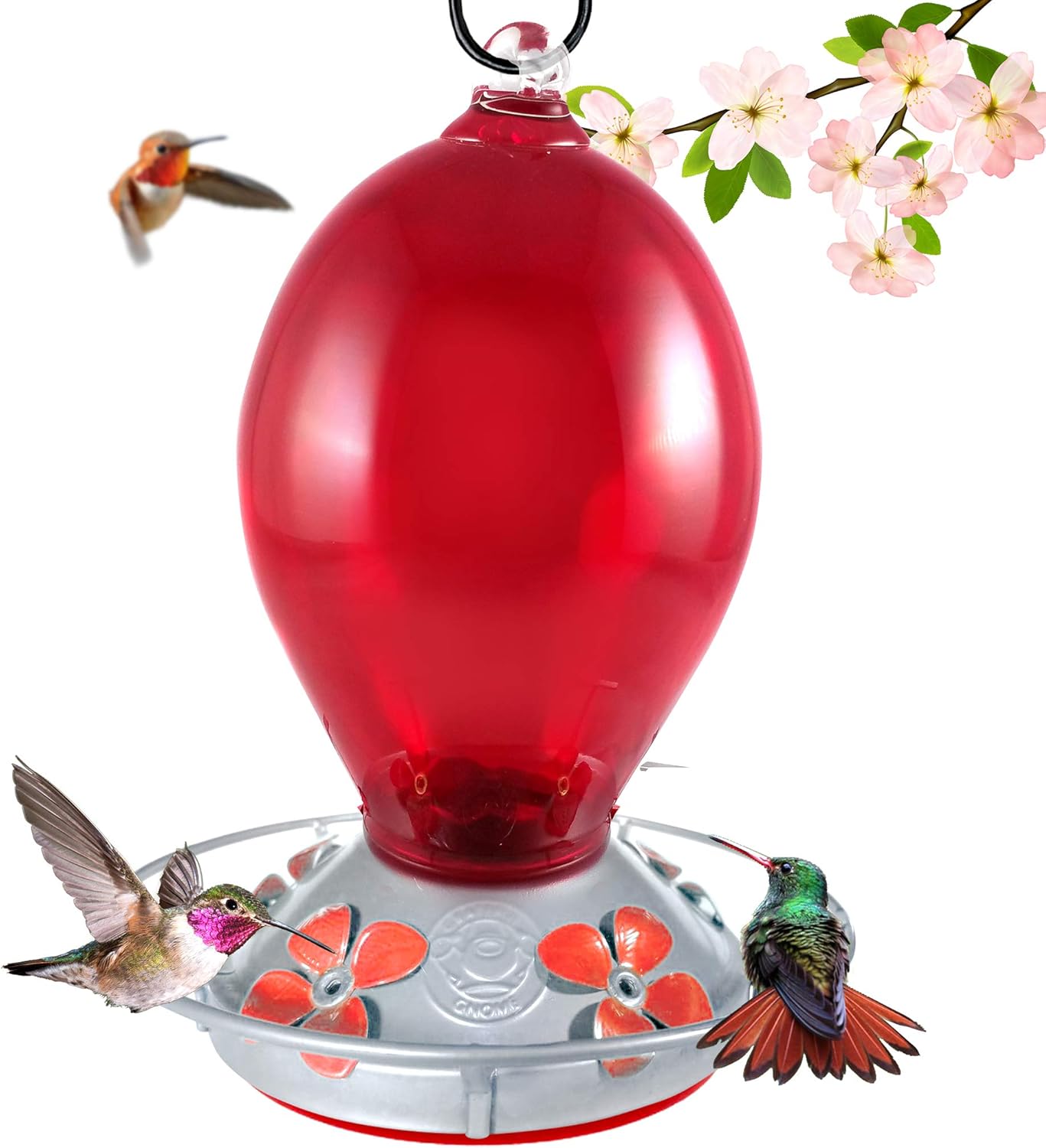 Amazon Com Grateful Gnome Hummingbird Feeder Hand Blown