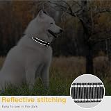 HEELE Reflective Dog Collar Nylon Padded Neoprene Sky Blue M 34-52cm view 6