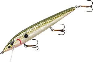 Smithwick Lures Suspending Rattlin Rogue Fishing Lure
