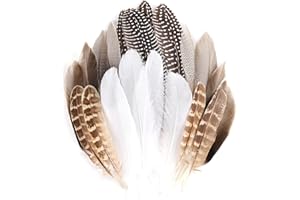 MAOFENG 20pcs Natural Pheasant Feathers Bulk 5 Styles Mixed Feathers Spotted Feathers for Craft DIY Wedding Home Hat Floral Arrangements Holiday Decorations