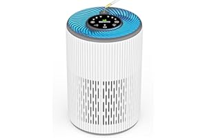 DAYETTE Air Purifiers for Home Bedroom, HEPA Air Purifiers for Large Room up to 1300 sq.ft, H13 True HEPA Air Filter with Fragrance Sponge Quiet Air Cleaner for Pet Dander Wildfire