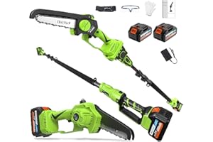 2-in-1 Cordless Pole Saw 8 Inch＆Mini Chainsaw, 2× 21V 4.0Ah Batteries, 15ft Max Reach, Electric Pole Chainsaw for Tree Trimmi