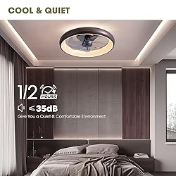 LUDOMIDE Ceiling Fan with Lights and