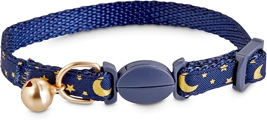 bond & co kitten collar