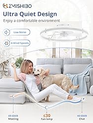 ZMISHIBO 24 Inch Ceiling Fans with Lights and