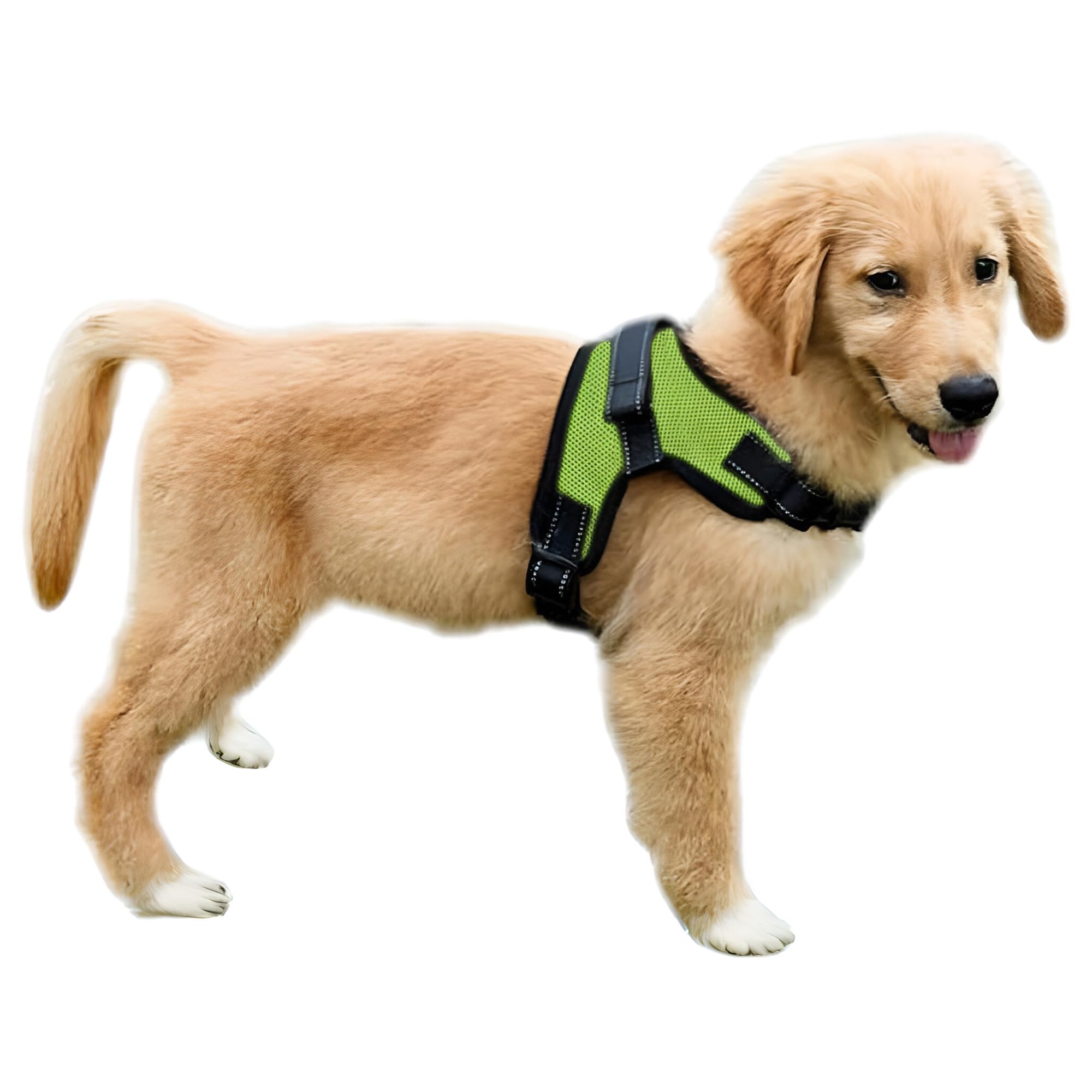 Copatchy Dog Harness - Small, Sporty, Reflective, Adjustable, Green, Chest: 12-16 Inches, Neck: 10-12 Inches
