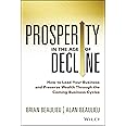 Prosperity in The Age of Decline: How to Lead Your Business and Preserve Wealth Through the Coming Business Cycles