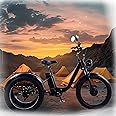 GERRIT Adult Fat tire Electric Tricycle, 24×4 inch Outdoor Adult Electric Bicycle, 750W brushless Motor, with 48V 15AH Removable Battery, with Large Capacity Rear Basket, Suitable for Urban Riding