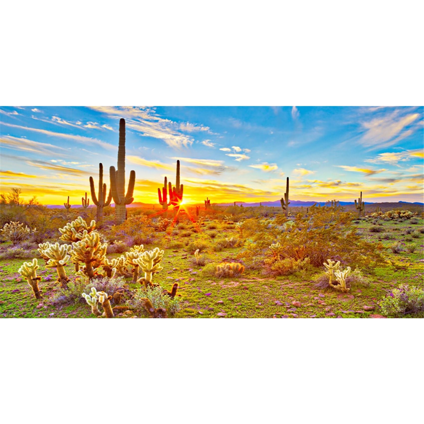 MIRRORANG 180x46cm Reptile Habitat Background Sun and Desert Blue Sky Oasis Cactus Terrarium Background Durable Vinyl Background (Not Sticker)