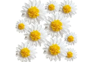 ANSOMO Daisy Tissue Paper Pom Poms Party Decorations White Yellow Flowers Wall Hanging 1st Birthday Bridal Baby Shower Wedding Classroom Décor 12" 8" Pack of 10
