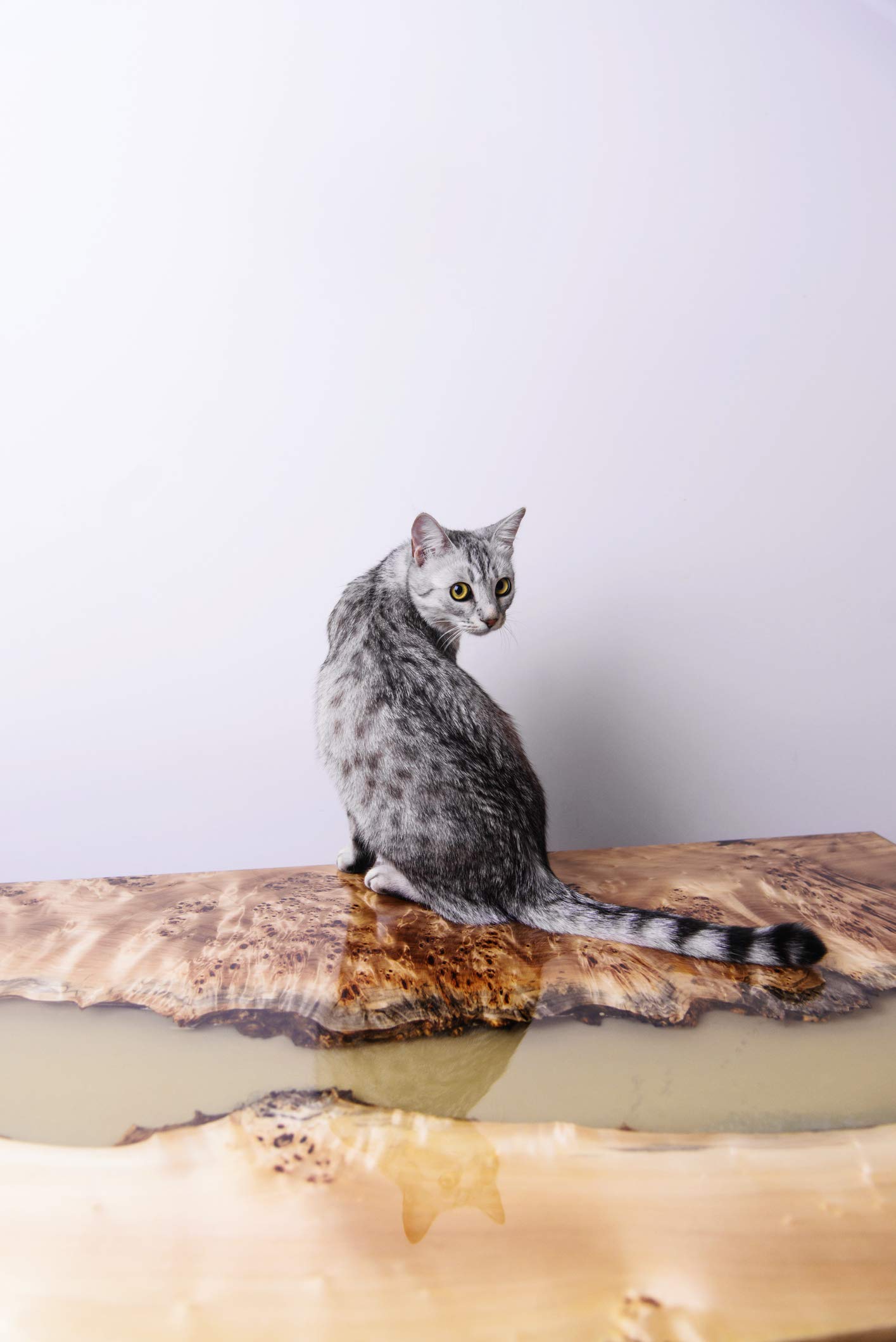 SUPER CLEAR Coat Epoxy Resin Kit, 2 Gallon, Ultra Clear Liquid Glass 2 Part Self Leveling Epoxy