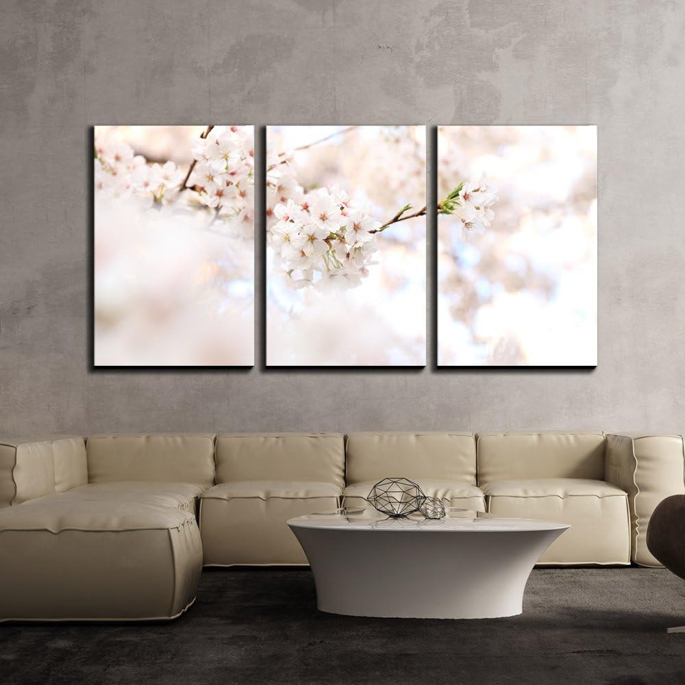 Amazon.com: wall26 - 3 Piece Canvas Wall Art - Cherry Blossom in Spring