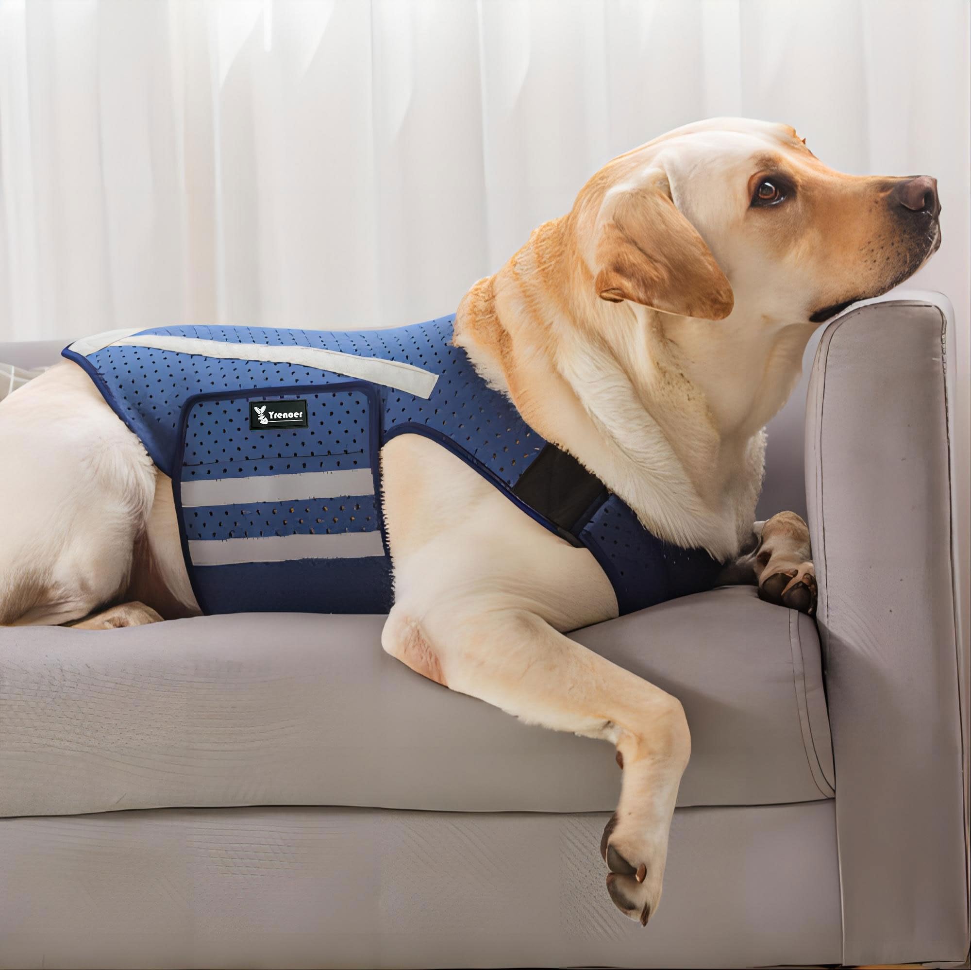 Curated visual reference: Picture Idea: Yrenoer Dog Anxiety Vest Comfort Dog Anxiety Relief Jacket Breathable