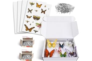 VERDANZIA Insect Pinning Kit, Includes Insect Display Case, 5 Pcs Eva Foam Insect Pinning Board, 500 Pcs Insect Pins for Butterfly Bugs Collection Project and Specimen Displays