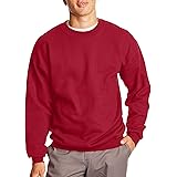 hanes raglan sweatshirt