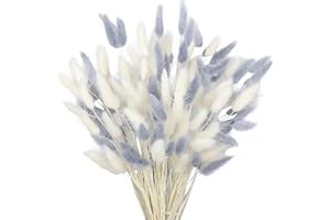 FAICOIA 120pcs Dried Bunny Tails Flowers Lagurus Ovatus Tail Dried Flowers Pampas Grass White and Gray Natural Dried Floral A
