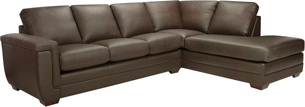 Amazon Com Sofaweb Com Porsche Top Grain Italian Leather