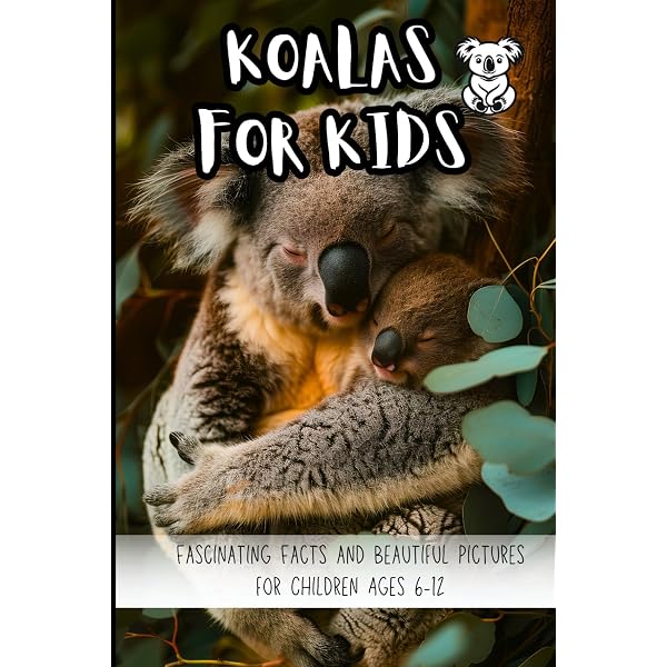 Koala: A Natural History and an Uncertain Future: Clode, Danielle
