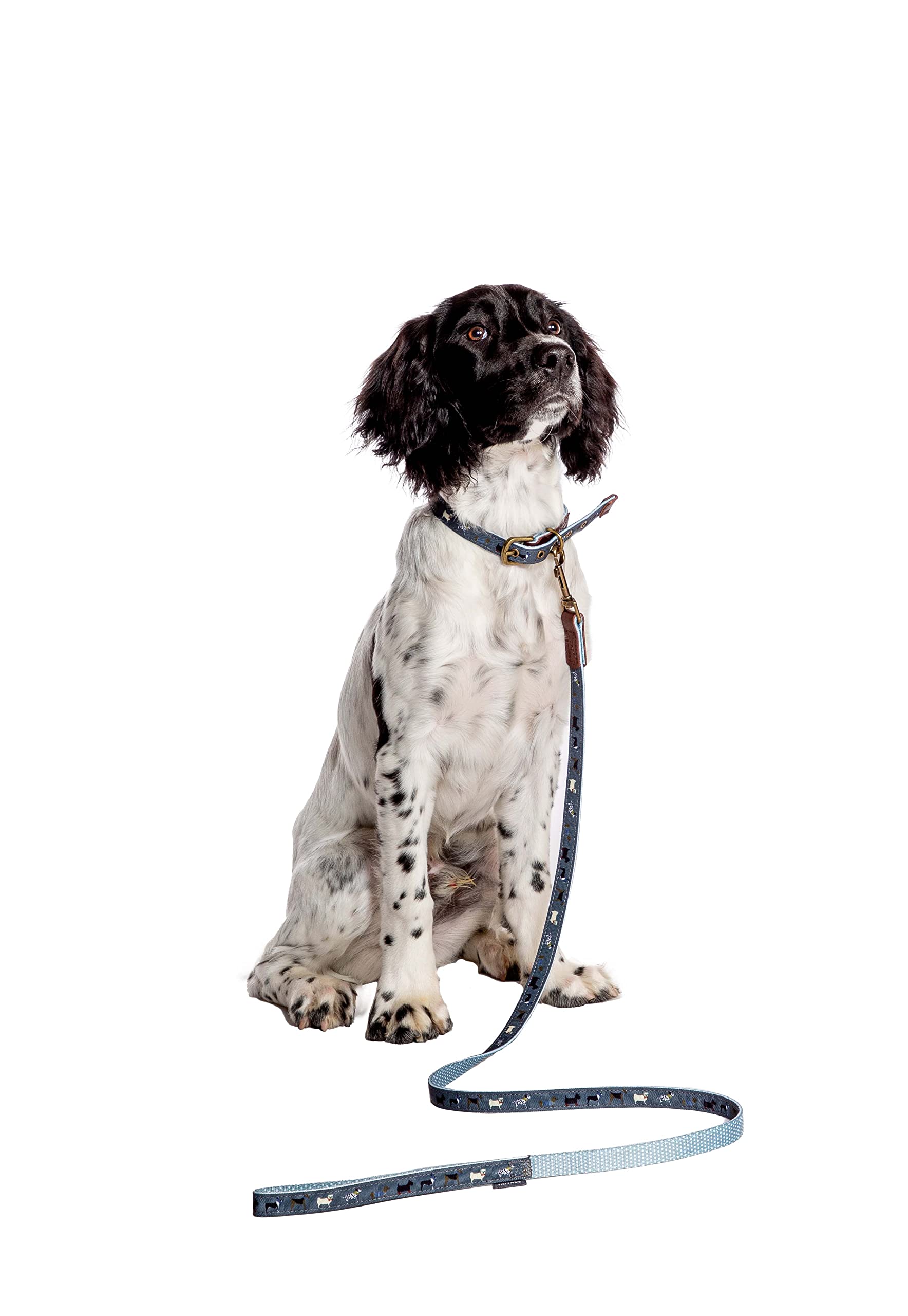 Danish Design FatFace Marching Dogs Woven Genuine Leather Trim Metal Buckle Blue Dog/Puppy Lead Medium 25mm 120 cm