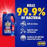 Jeyes Fluid Ready-To-Use Outdoor Cleaner 4 Litre Blue Disinfectant view 2